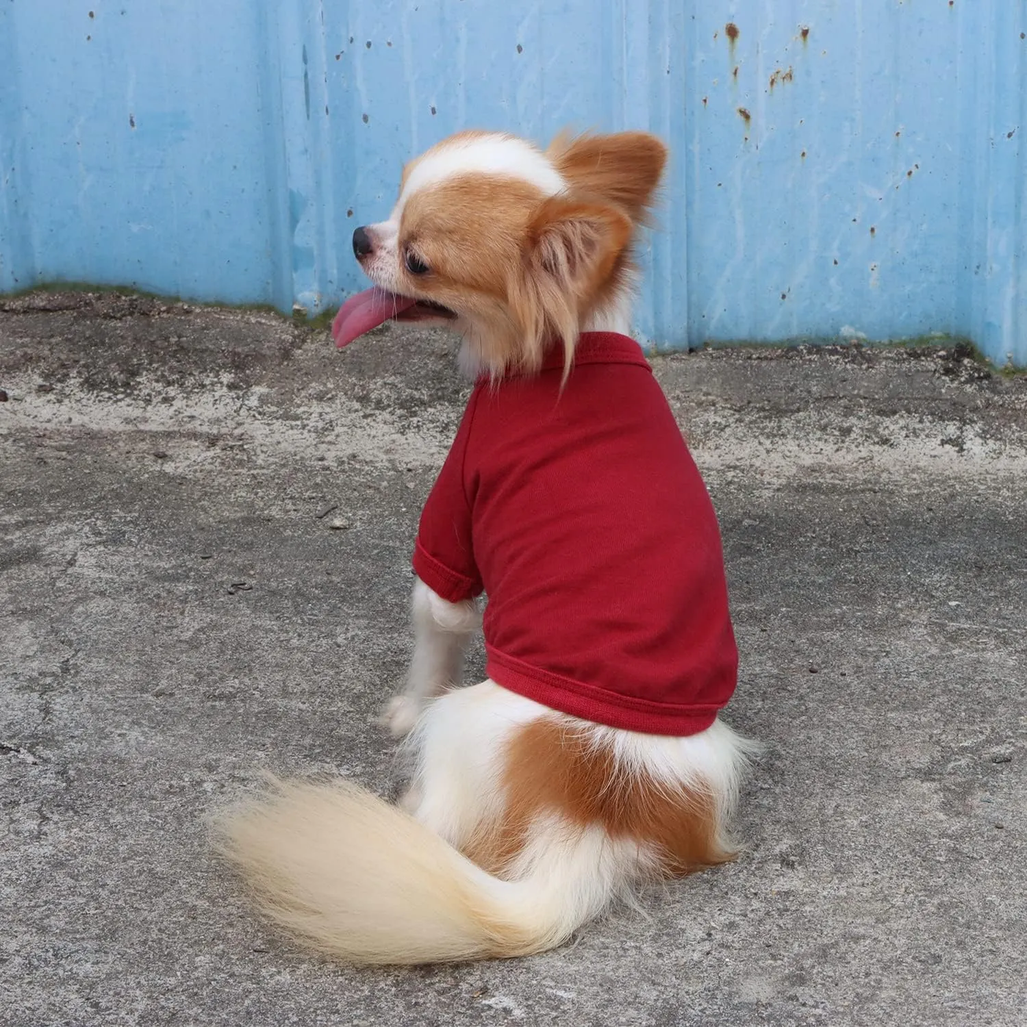 LOPHIPETS 100% Cotton Dog Tee Shirt for Small Dogs Chihuahua Puppy Clothes-Red/L