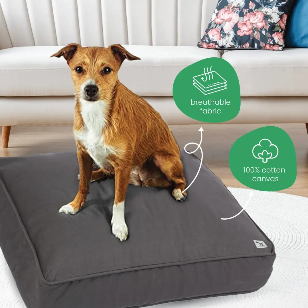 Molly Mutt Medium to Large Dog Bed Cover - I’m A Realist Print - Measures 27”X36”X5’’ - 100% Cotton - Durable - Breathable - Sustainable - Machine Washable Dog Bed Cover