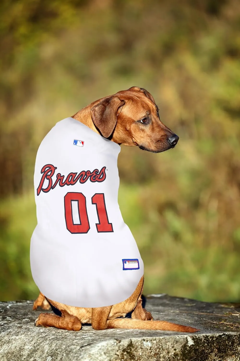 Official MLB Atlanta Braves Pet Jersey for Dogs & Cats, Size XX-Large - Stylish Baseball Jersey for Your Furry Fan- Show Off Team Spirit with The Perfect Fan Apparel Gear for Pet, Dog & Cat