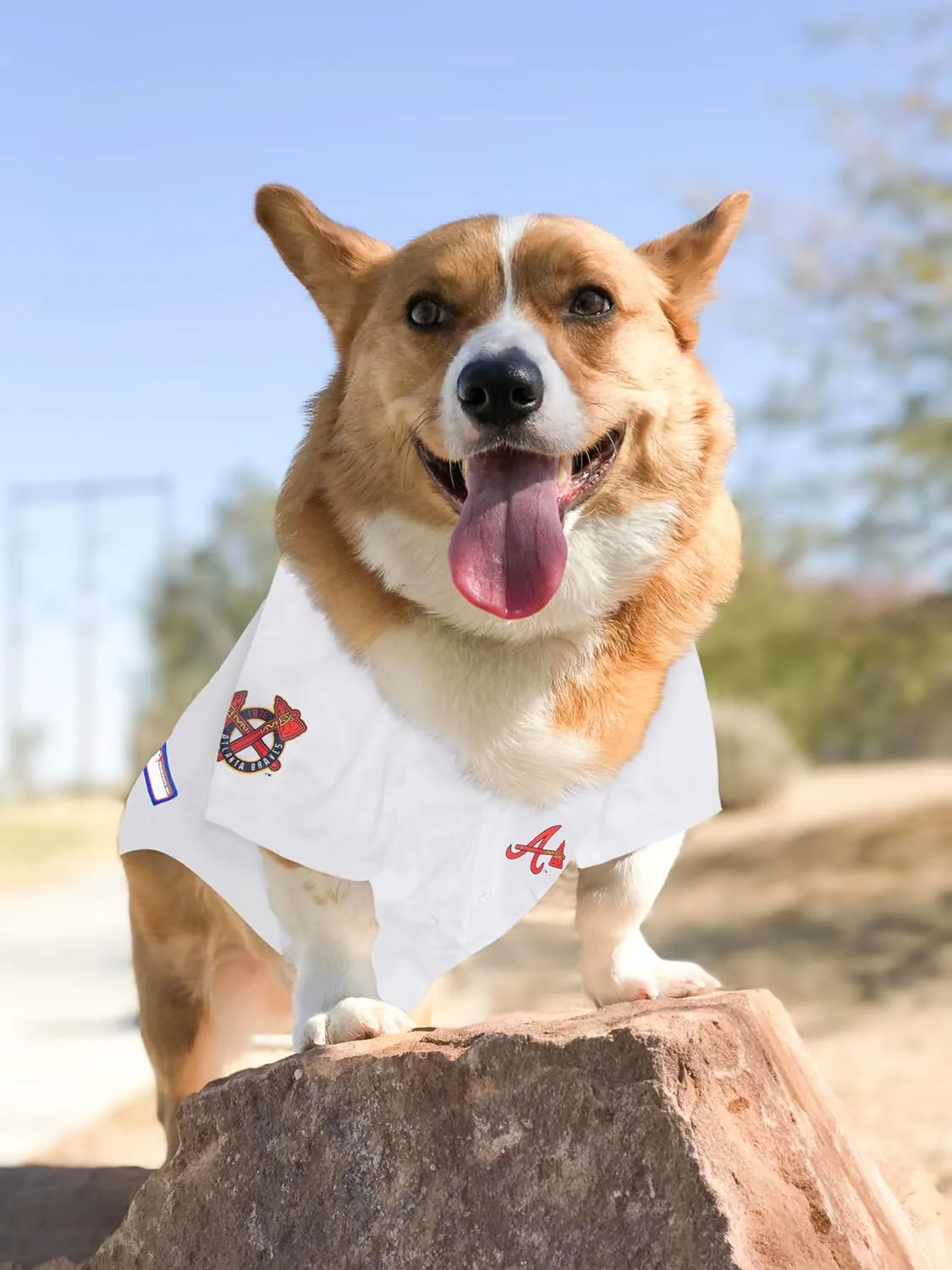 Official MLB Atlanta Braves Pet Jersey for Dogs & Cats, Size XX-Large - Stylish Baseball Jersey for Your Furry Fan- Show Off Team Spirit with The Perfect Fan Apparel Gear for Pet, Dog & Cat