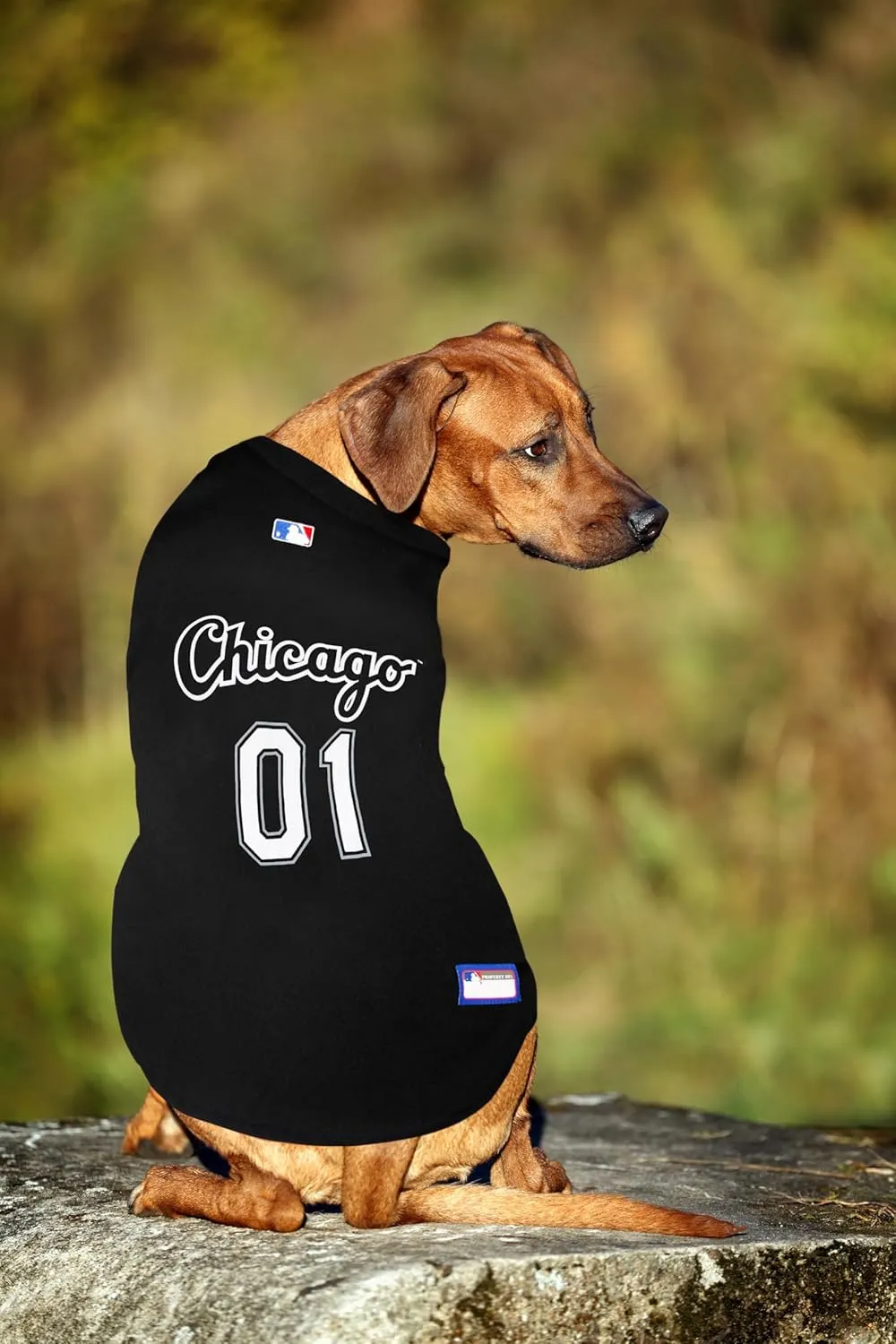 Official MLB Chicago White Sox Pet Jersey for Dogs & Cats, Size XX-Large - Stylish Baseball Jersey for Your Furry Fan- Show Off Team Spirit with The Perfect Fan Apparel Gear for Pet, Dog & Cat
