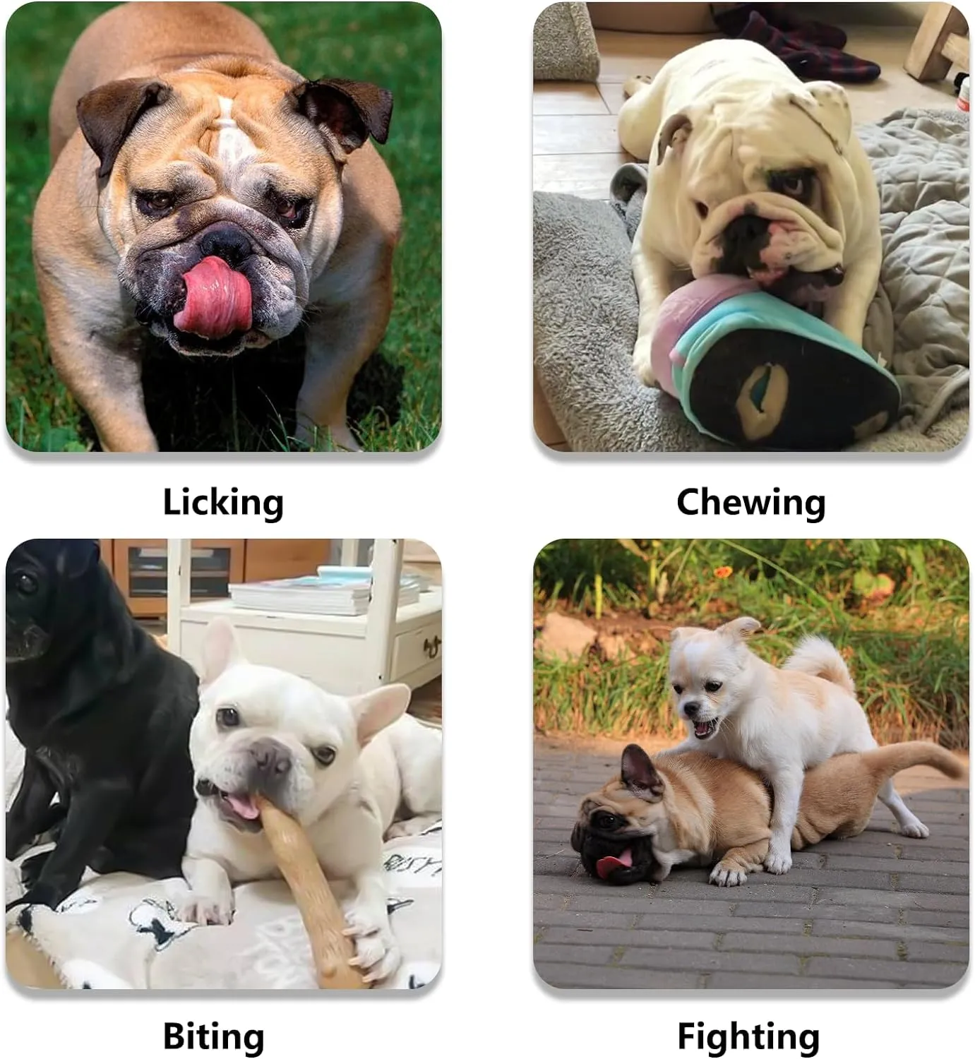 Ohcozzy Short Snout Dog Muzzle, Soft Breathable Mesh Bulldog Muzzle Won’t Cover Eyes, Prevent Biting Licking for Dogs(L,Green)