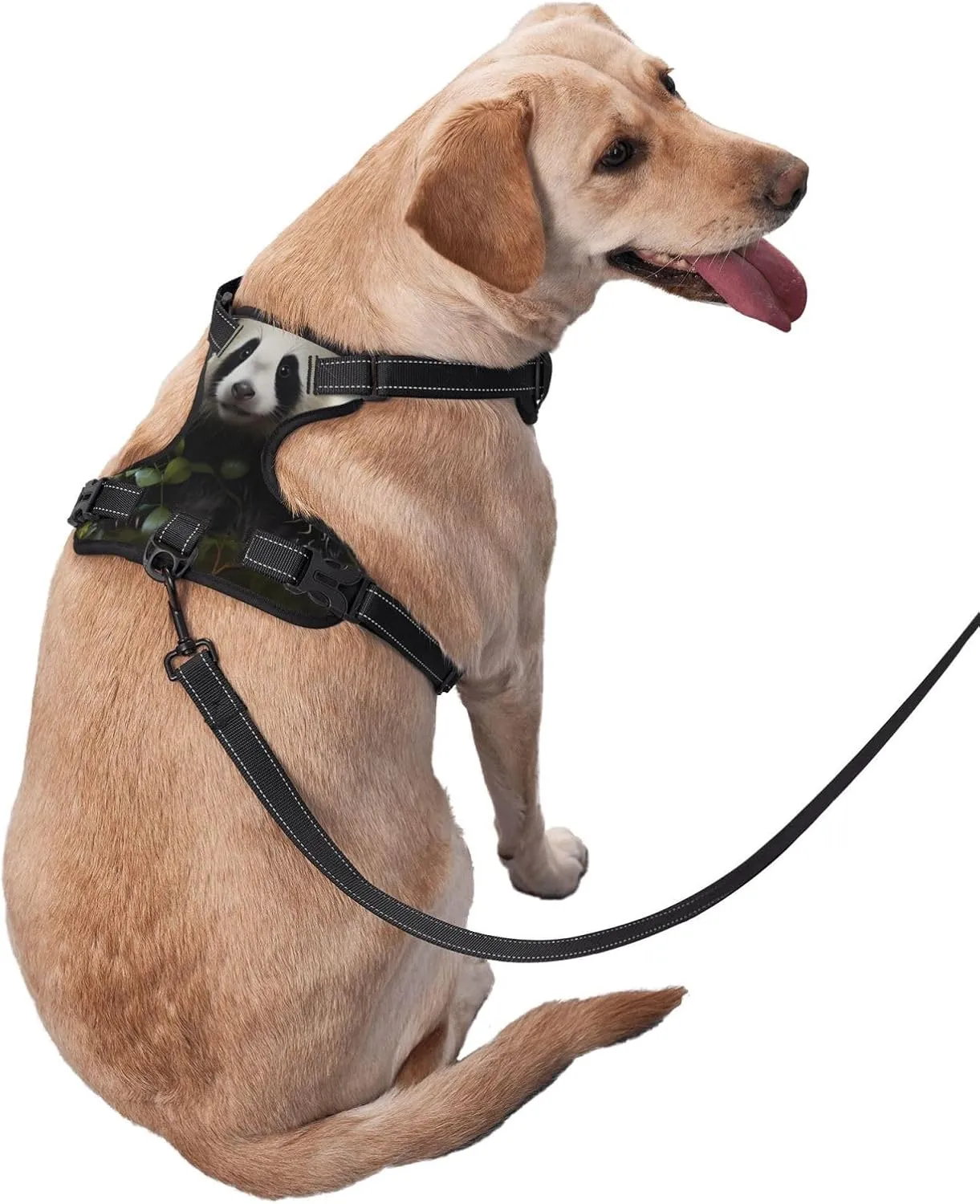 Panda Cubs in The Forest Small Printed pet Traction Vest for Pets to wear When Walking The Dog or Climbing Mountains