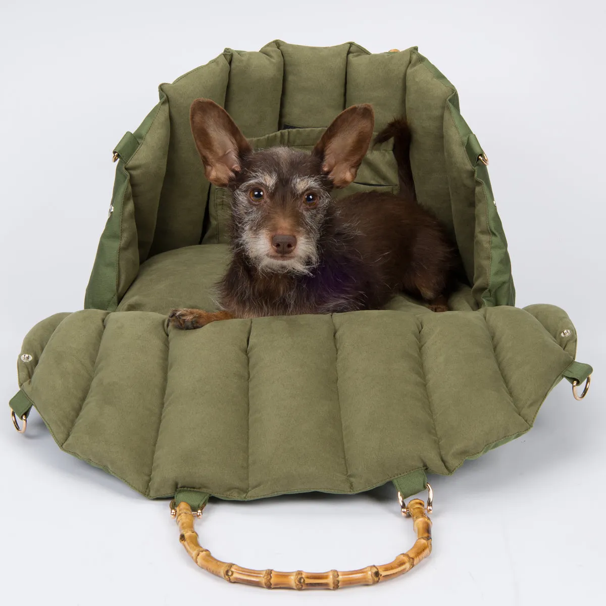 Parker | Olive