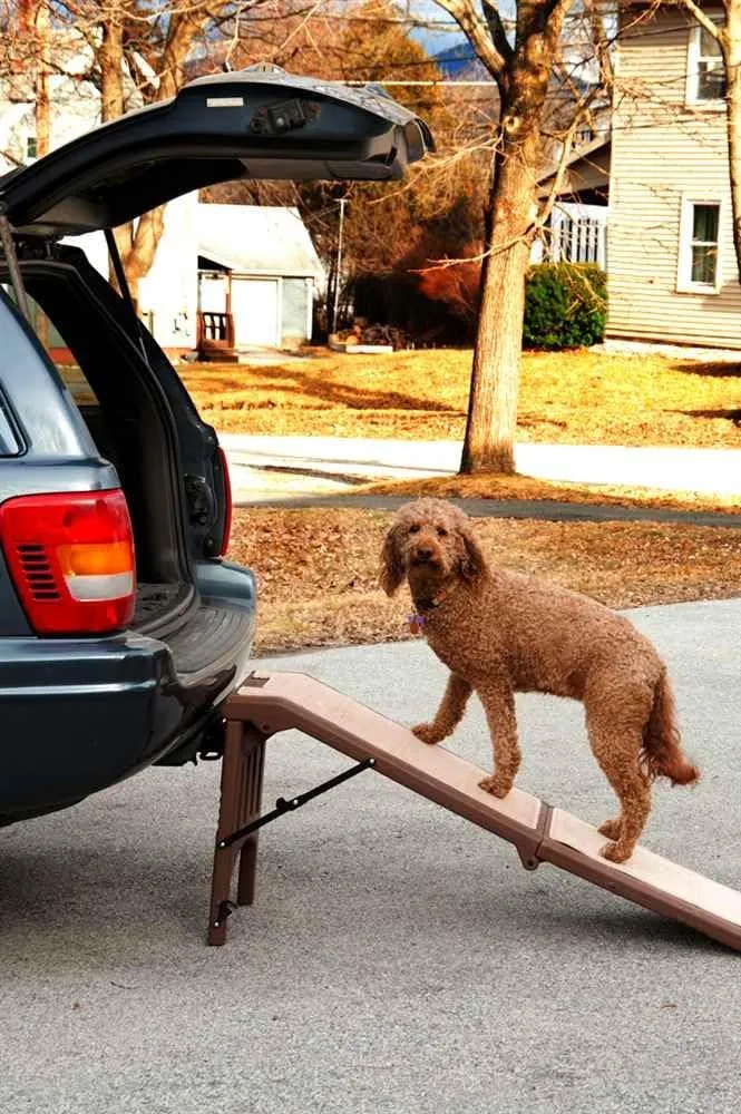 Pet Gear Free Standing Pet Ramp for Cats and Dogs, No Assembly Required, Easy Fold for Storage or Travel, Portable, Available in 6 Models
