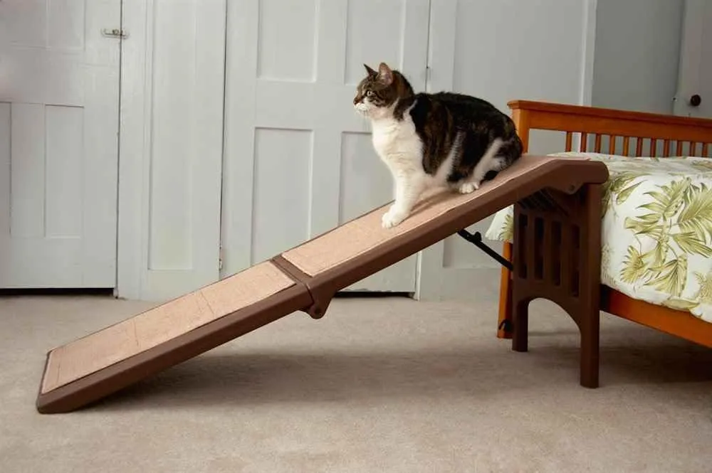 Pet Gear Free Standing Pet Ramp for Cats and Dogs, No Assembly Required, Easy Fold for Storage or Travel, Portable, Available in 6 Models