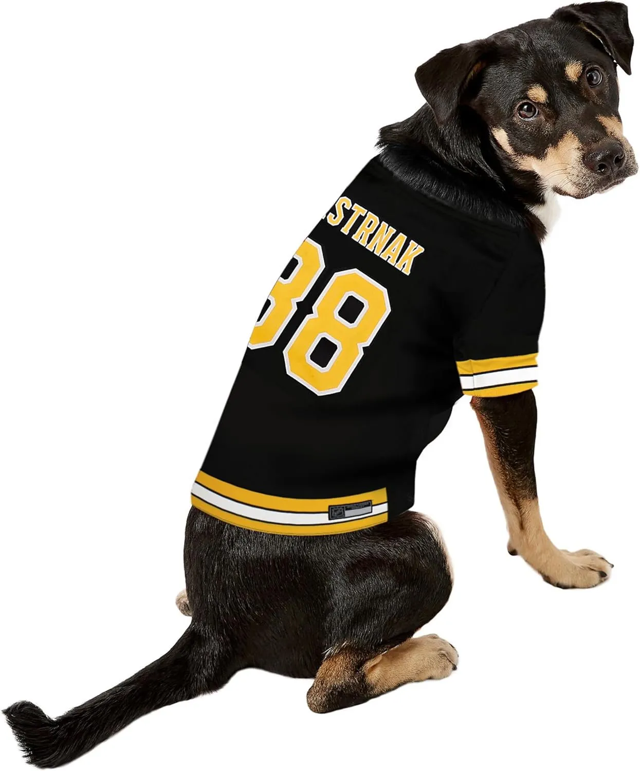 Pets First NHLPA David Pastrnak Mesh Jersey for Dogs & Cats, Boston Bruins Pasta-88 Dog Jersey, Size Small, Licensed Dog Jersey with Your Favorite Hockey Team Player