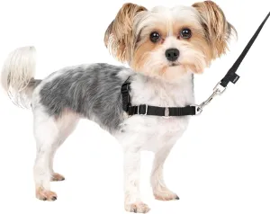 PetSafe Easy Walk No-Pull Dog Harness - The Ultimate Harness to Help Stop Pulling - Take Control & Teach Better Leash Manners - Helps Prevent Pets Pulling on Walks, Petite/Small, Black/Silver