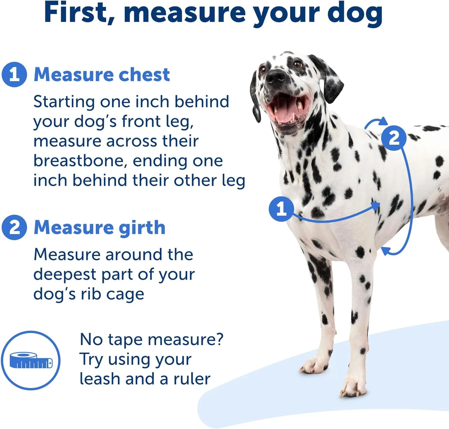 PetSafe Easy Walk No-Pull Dog Harness - The Ultimate Harness to Help Stop Pulling - Take Control & Teach Better Leash Manners - Helps Prevent Pets Pulling on Walks, Petite/Small, Black/Silver