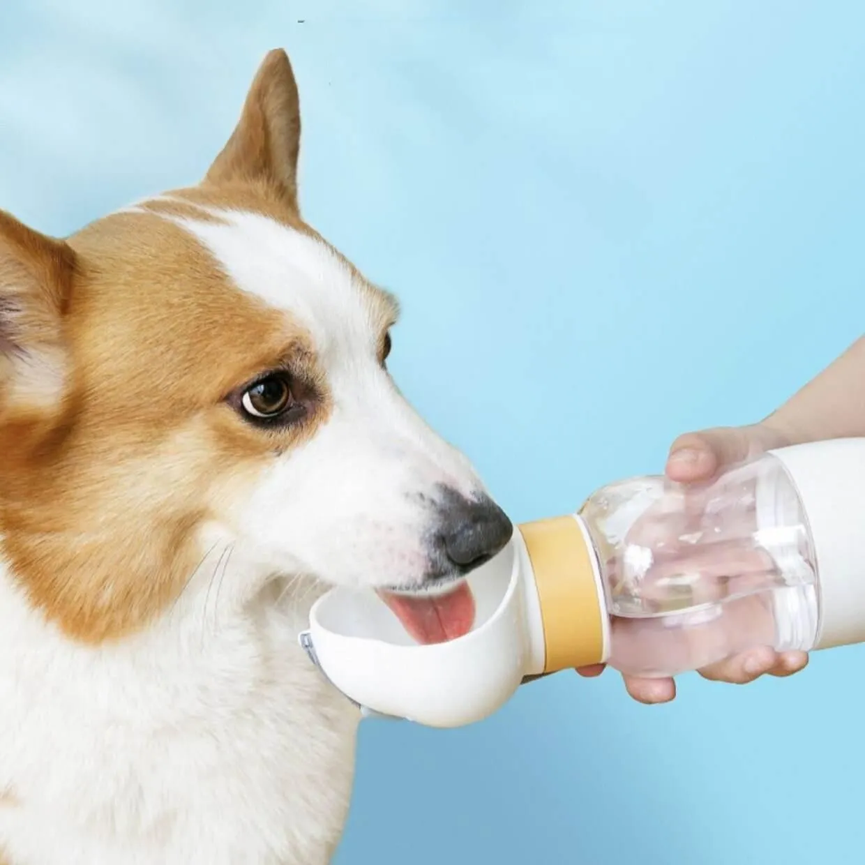 Portable Pet Water Bottle - 2-in-1 Travel Feeder