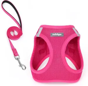 rabbitgoo Dog Harness Small Sized and Leash Set, Step in Soft Light Puppy Vest, Breathable Mesh Pet Harness, Reflective for Safe Easy Walking, Rosa Red XXXS