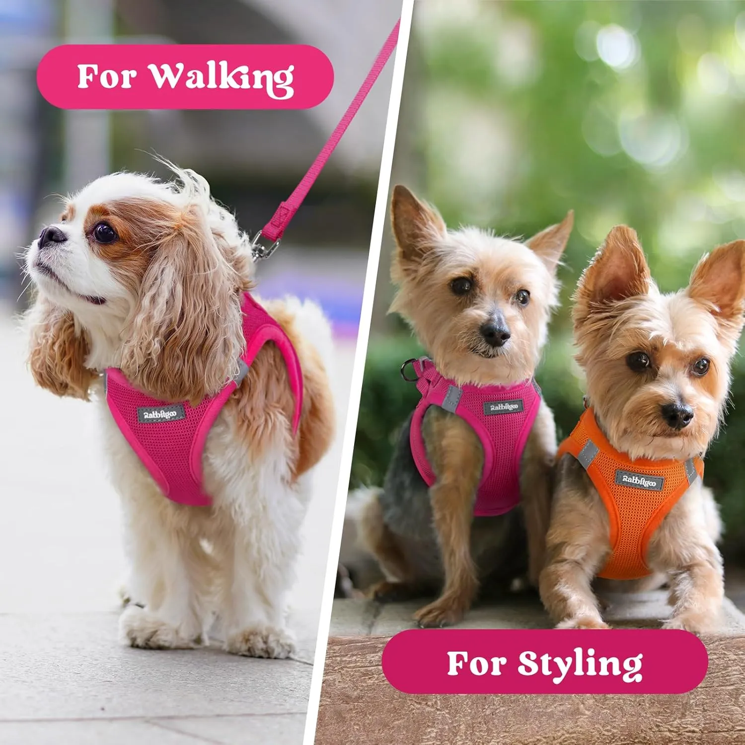 rabbitgoo Small Dog Harness, Step-in Soft Mesh Puppy Vest, Easy Walk with Safety Buckle, Breathable Reflective Pet Harness for Small Sized Dogs, Rose Red S