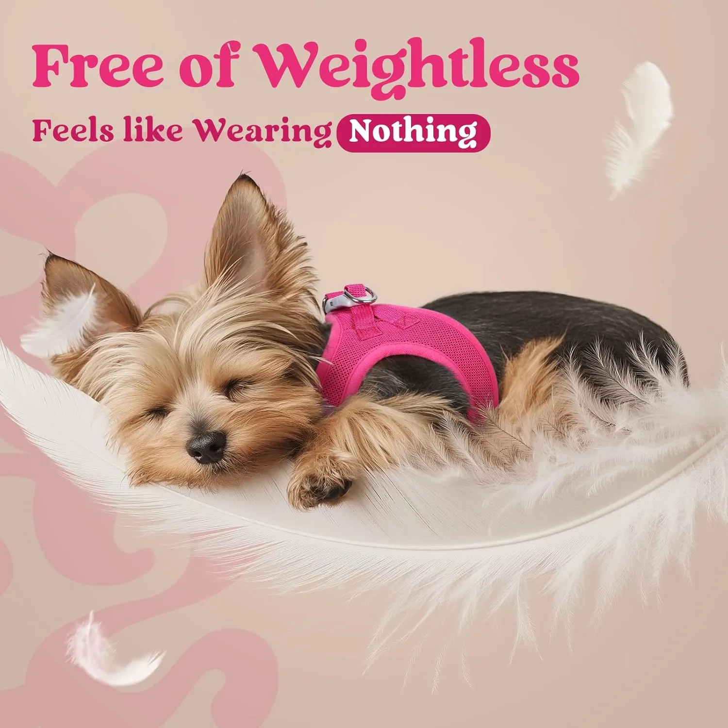 rabbitgoo Small Dog Harness, Step-in Soft Mesh Puppy Vest, Easy Walk with Safety Buckle, Breathable Reflective Pet Harness for Small Sized Dogs, Rose Red S