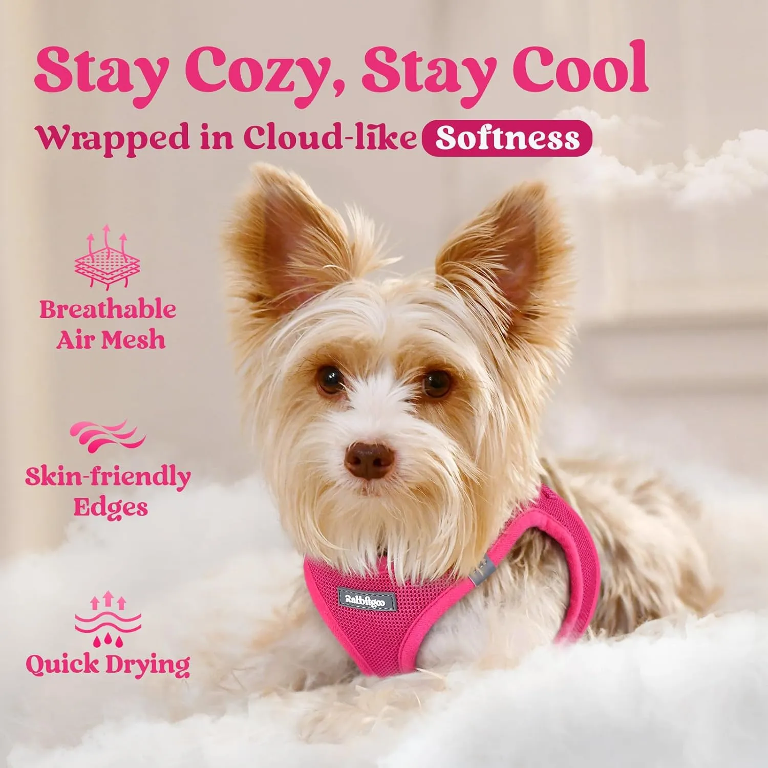 rabbitgoo Small Dog Harness, Step-in Soft Mesh Puppy Vest, Easy Walk with Safety Buckle, Breathable Reflective Pet Harness for Small Sized Dogs, Rose Red S