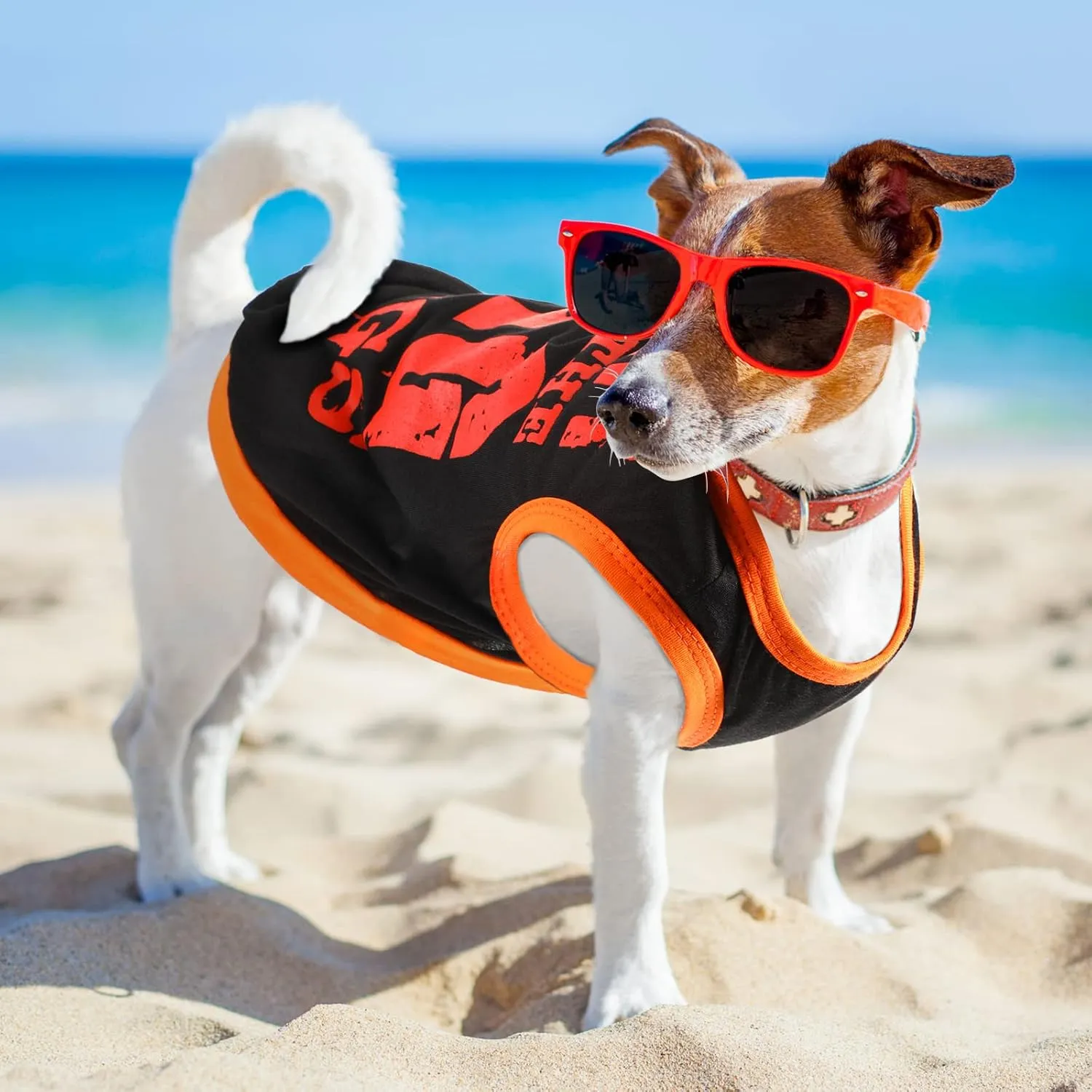 Saintrygo 8 Pieces Dog Shirts Pet Printed Clothes with Funny Letters Summer Pet T Shirts Cool Puppy Breathable Dog Outfit Soft Sweatshirt Cats(Cute Pattern,Large)