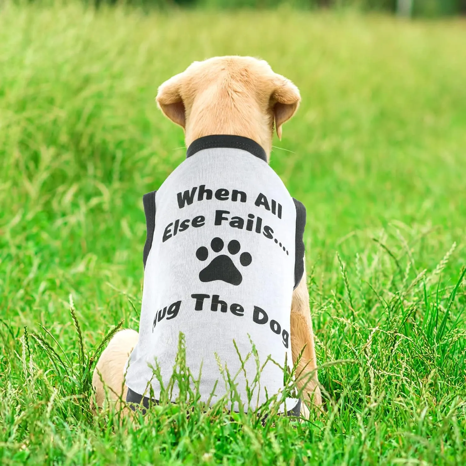 Saintrygo 8 Pieces Dog Shirts Pet Printed Clothes with Funny Letters Summer Pet T Shirts Cool Puppy Breathable Dog Outfit Soft Sweatshirt Cats(Cute Pattern,Large)