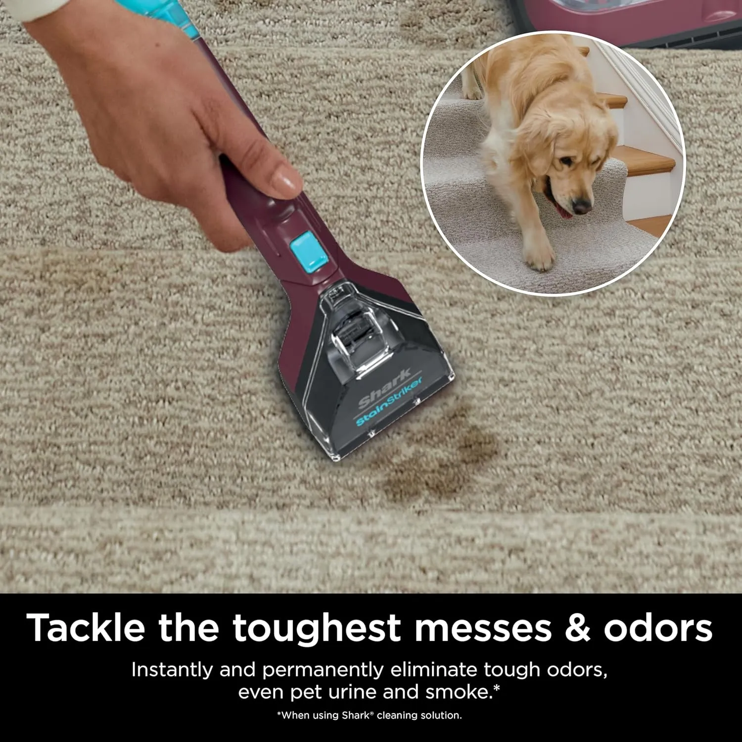 Shark Carpet Cleaner Machine, Portable Upholstery StainStriker, Spot, Odor & Stain Remover, 2 Carpet Cleaner Solutions, 3 Tools, Perfect for Pet Hair, Area Rugs, Couches, Burgundy, PX203BRN