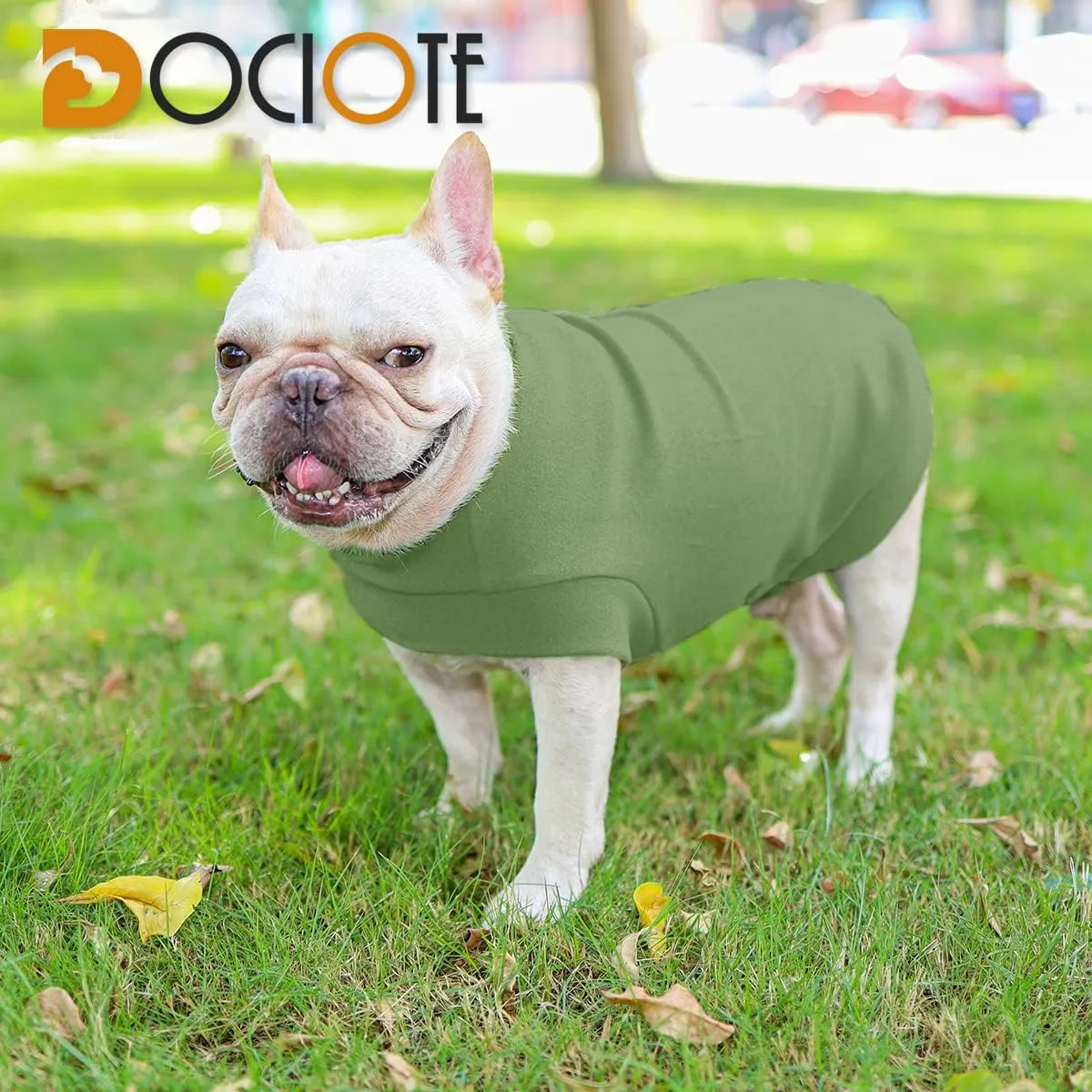 Small Dogs Fleece Dog Sweatshirt - Cold Weather Hoodies Spring Soft Vest Thickening Warm Cat Sweater Puppy Clothes Sweater Winter Sweatshirt Pet Pajamas for Small Dog Cat Puppy (Medium, Green)