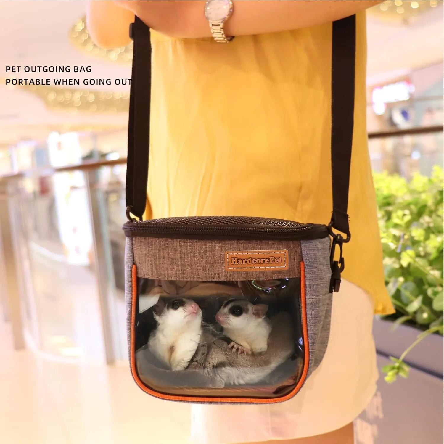 Sugar Glider Carrier Bag, Transparent Breathable Travel Bag for Hamster, Gecko,Baby Hedgehog, Transport Pouch with Breathable Mesh Top (Blue)