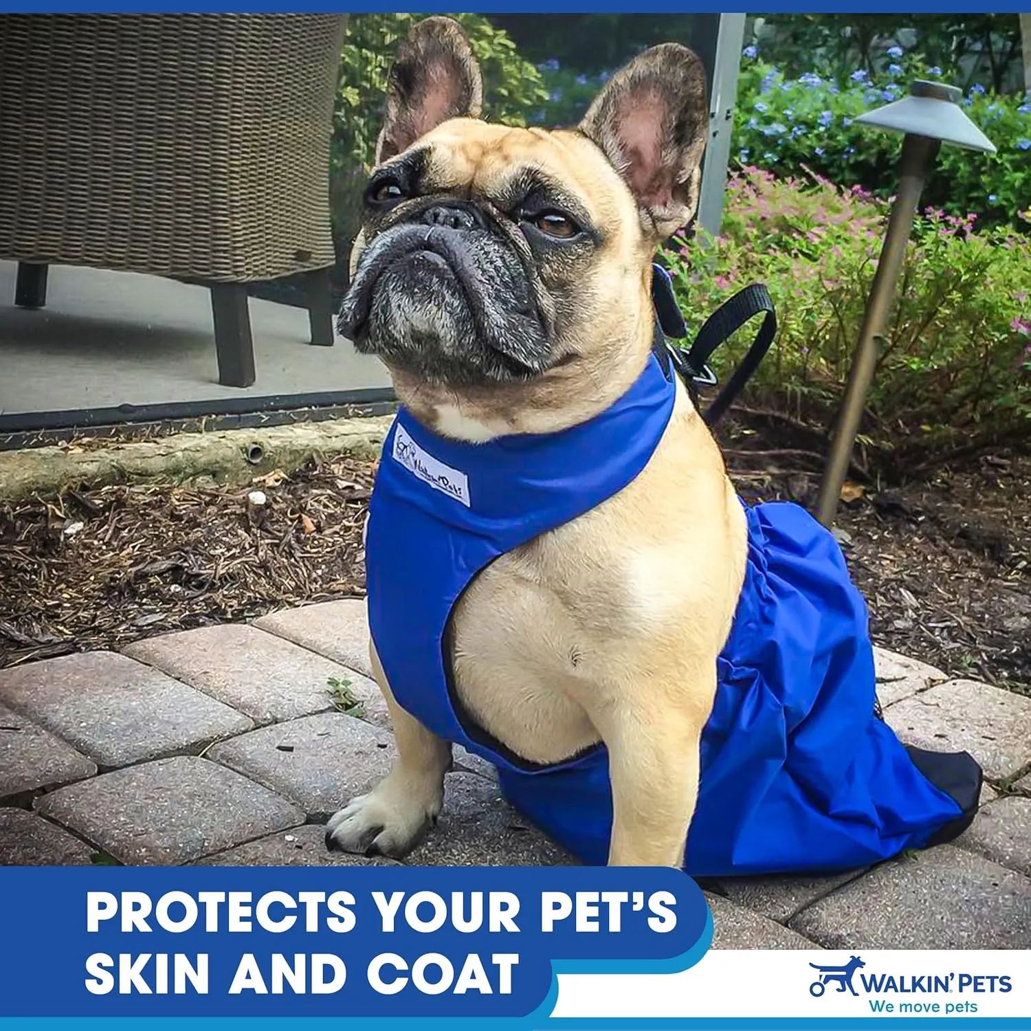 Walkin’ Drag Bag - Comfortable Drag Bag for Disabled Dogs and Cats, Protects Chest and Limbs, Made with Durable Nylon