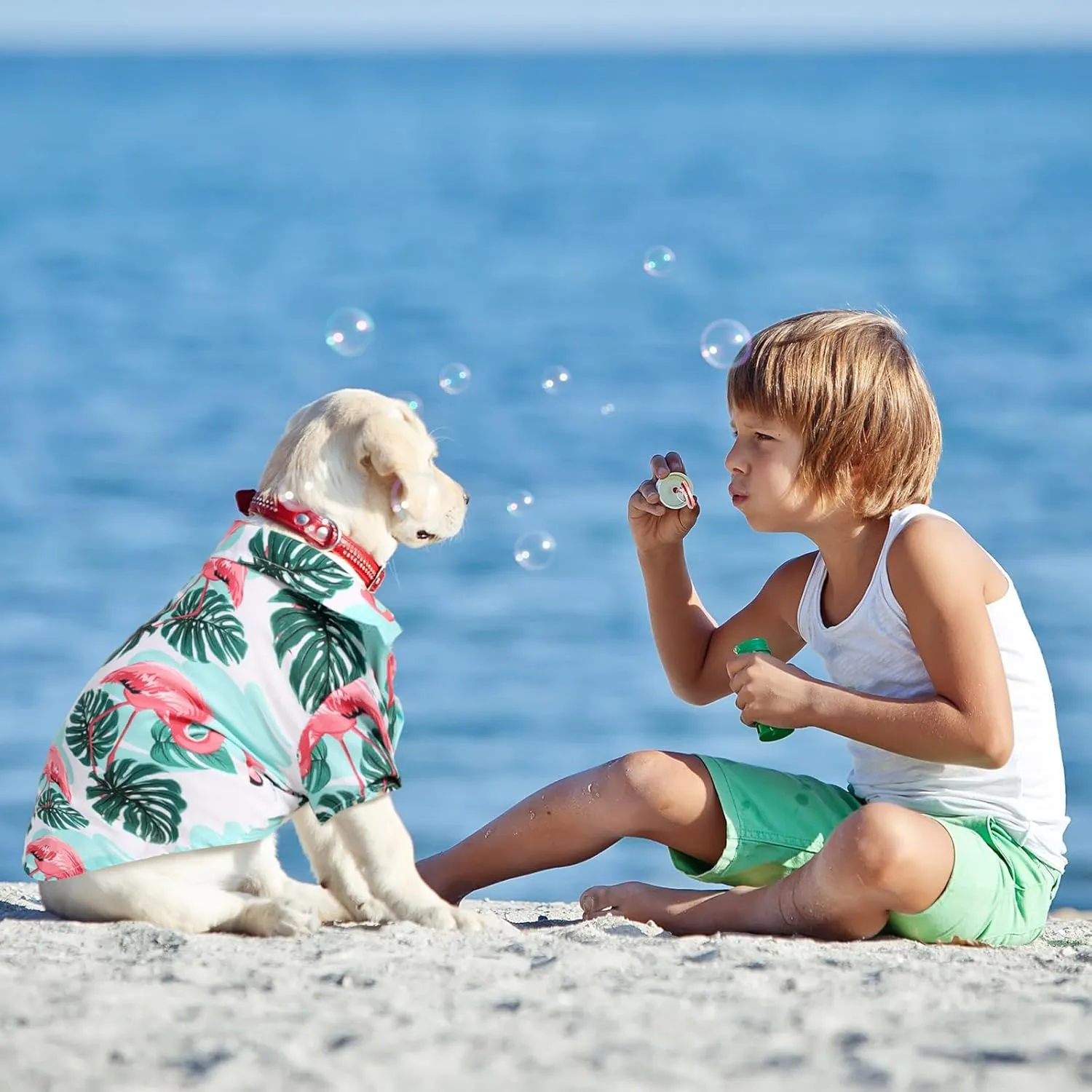 Weewooday 4 Pieces Pet Summer T-Shirts Hawaii Style Floral Pet Dog Shirt Breathable Cool Clothes Beach Seaside Puppy Sweatshirt for Small Puppy(Lovely Style,Large)